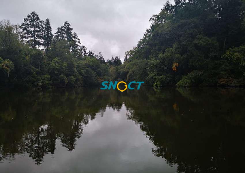 森林營(yíng)造應(yīng)注意哪些問(wèn)題？七個(gè)方面需引起重視！