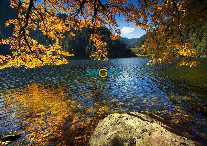 旅游規(guī)劃的主要類(lèi)型有哪些？