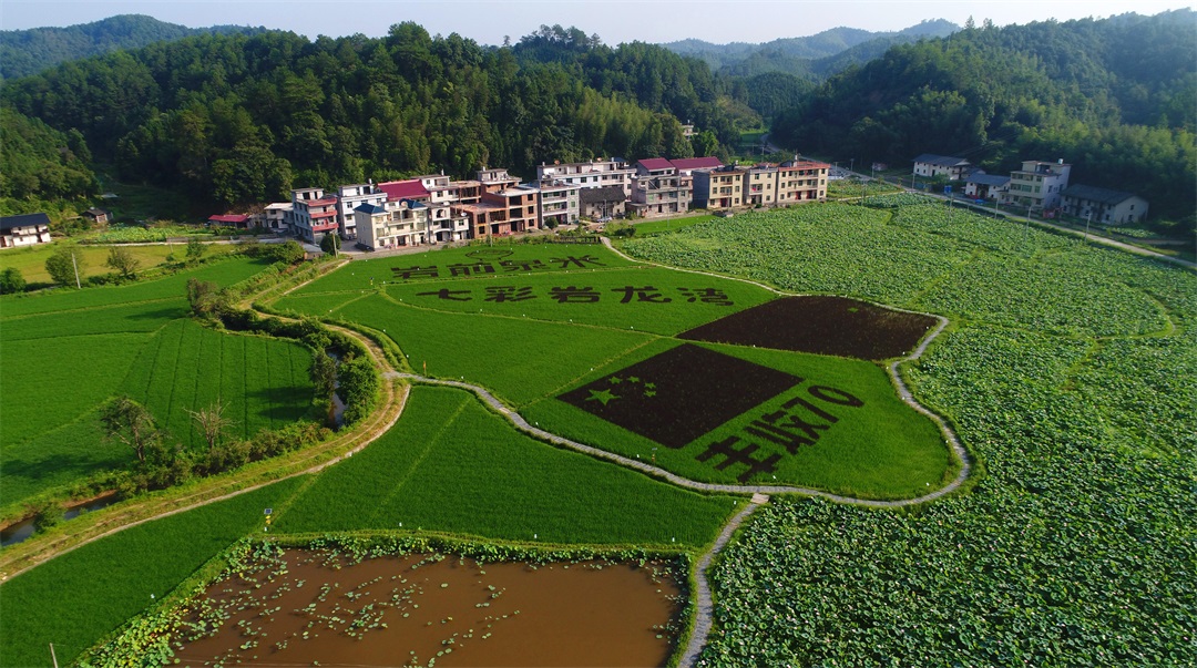 1623726401118496.jpg 7.jpg