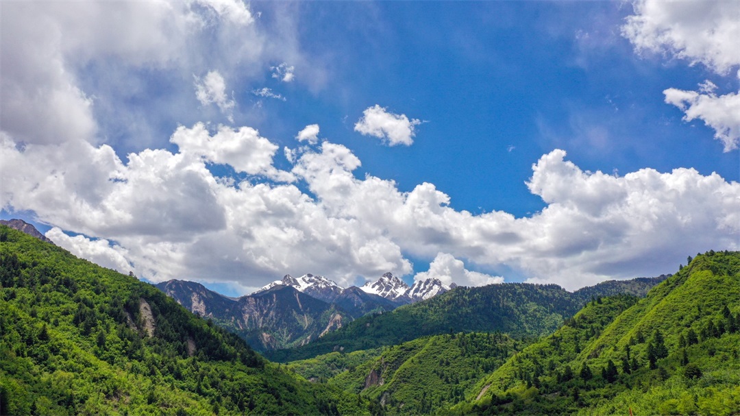 1625709367654298.jpg 8.jpg