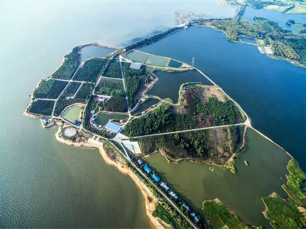 南昌縣磊鑫生態(tài)園森林康養(yǎng)基地.jpg