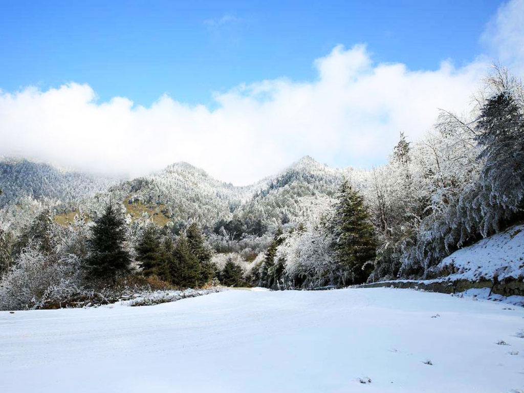王崗坪景區(qū)滑雪場(chǎng).jpg