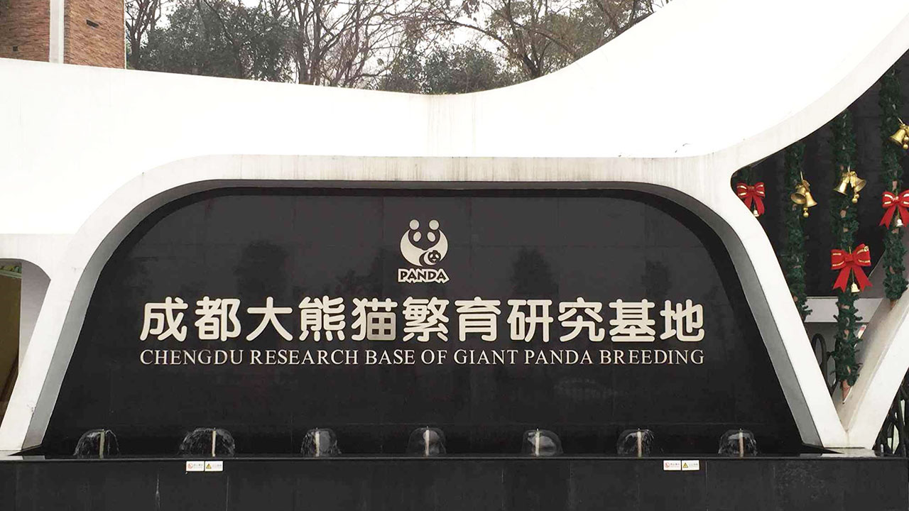 成都大熊貓繁育研究基地.jpg