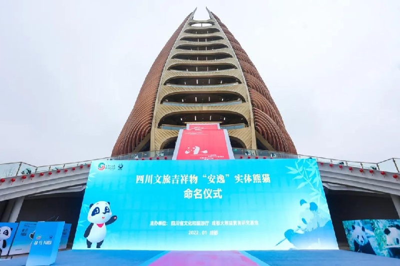 四川文旅吉祥物“安逸”實體熊貓命名儀式.jpg