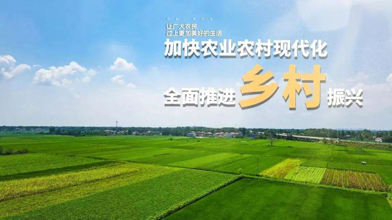 鄉(xiāng)村振興.jpg