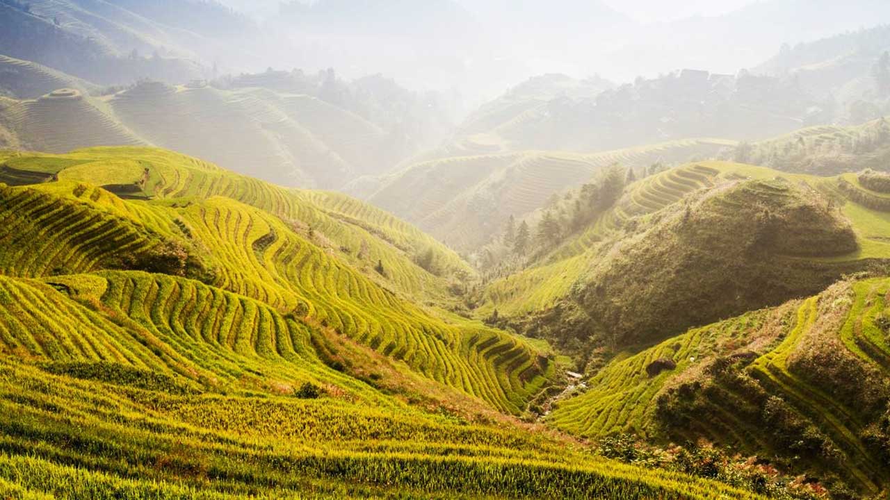 桂林龍脊梯田.jpg