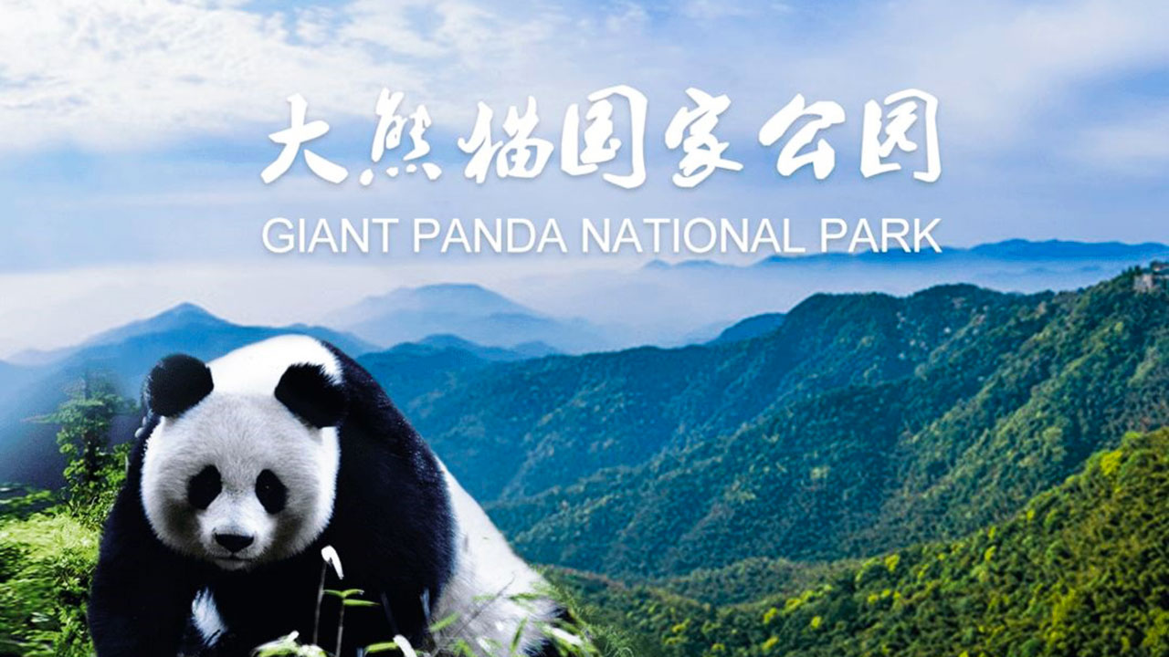 大熊貓國家公園.jpg