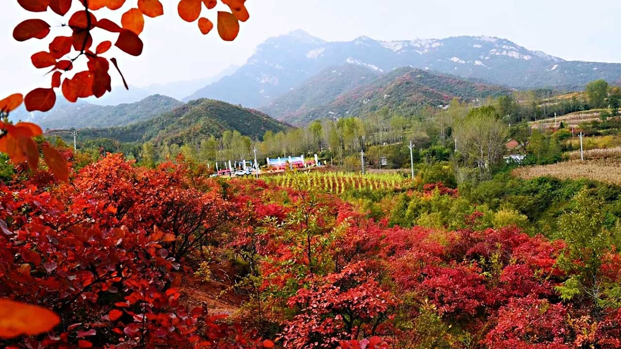 宜陽縣花果山鄉(xiāng).jpg