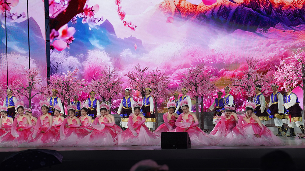 林芝第二十一屆桃花旅游文化節(jié)現(xiàn)場節(jié)目.jpg