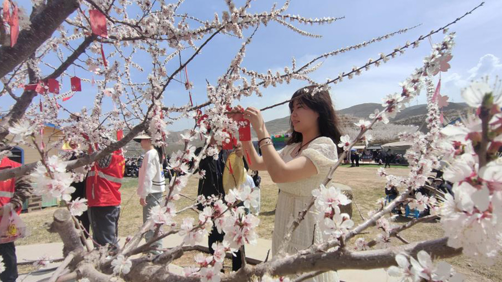 “杏福嶺”杏花文化旅游周現(xiàn)場.jpg