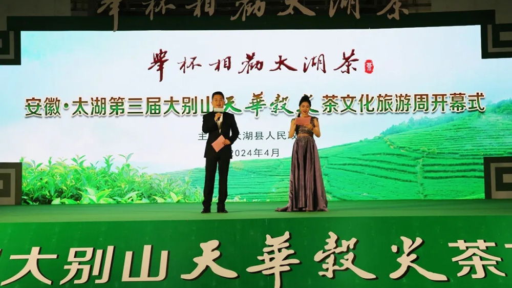 太湖縣第三屆大別山天華谷尖茶文化旅游周現場.jpg