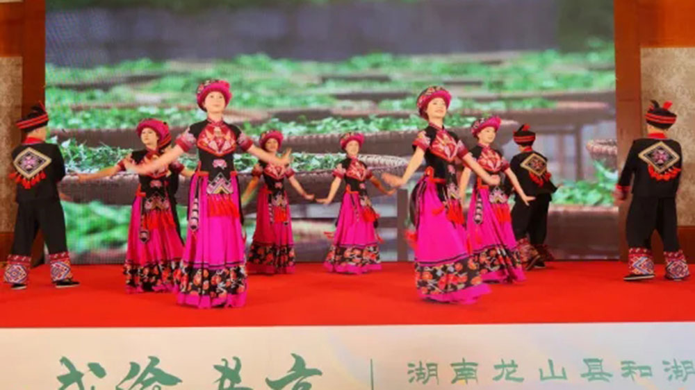 湖南省龍山縣和湖北省來(lái)鳳縣文化旅游協(xié)作推介大會(huì)現(xiàn)場(chǎng).jpg