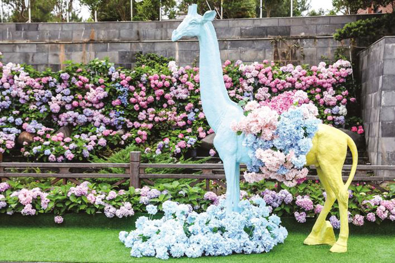 湖南：長沙縣舉行首屆繡球花文化旅游節(jié)，以文旅融合助推鄉(xiāng)村振興發(fā)展之路！