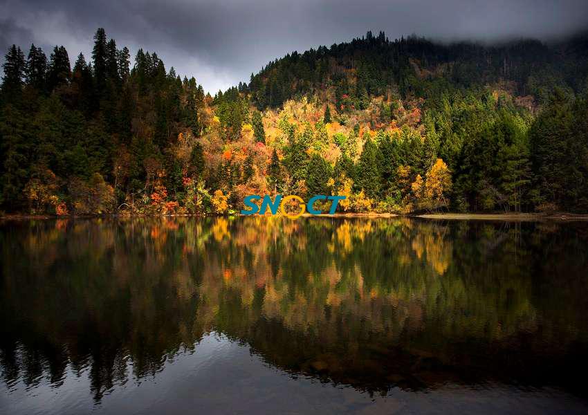 旅游目的地發(fā)展對(duì)環(huán)境的影響有哪些？正負(fù)面來理解！