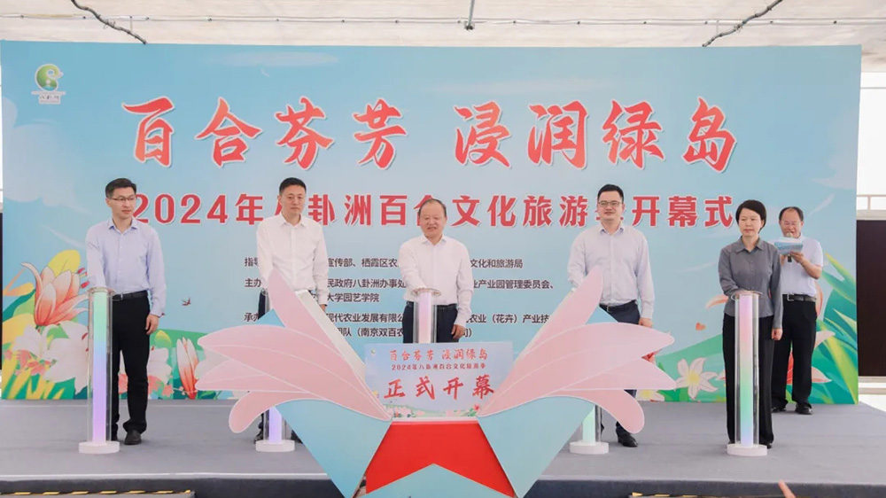 江蘇：2024年八卦洲百合文化旅游季正式啟動，進一步助推八卦洲現(xiàn)代農(nóng)業(yè)產(chǎn)業(yè)振興！